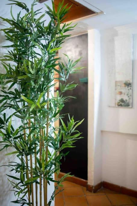 Via Dei Cestari Loft Lejlighed Rom Eksteriør billede